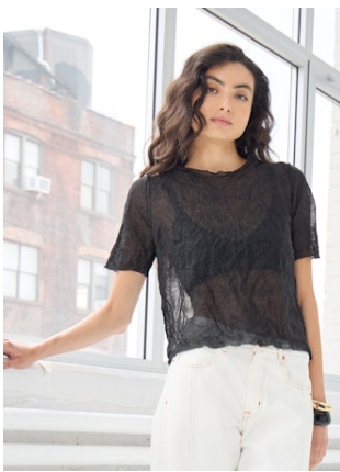 Autumn Cashmere Crush Short Sleeve Silk Crew-Black