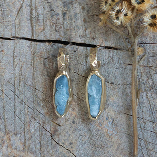 Emilie Shapiro Jewelry Guardin Earrings